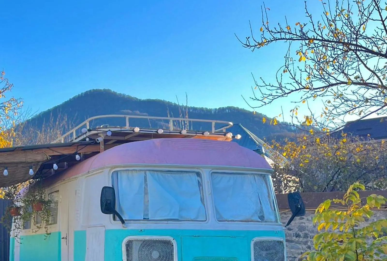 فندق Pavlove Tiny Bus House In Qabala أذربيجان